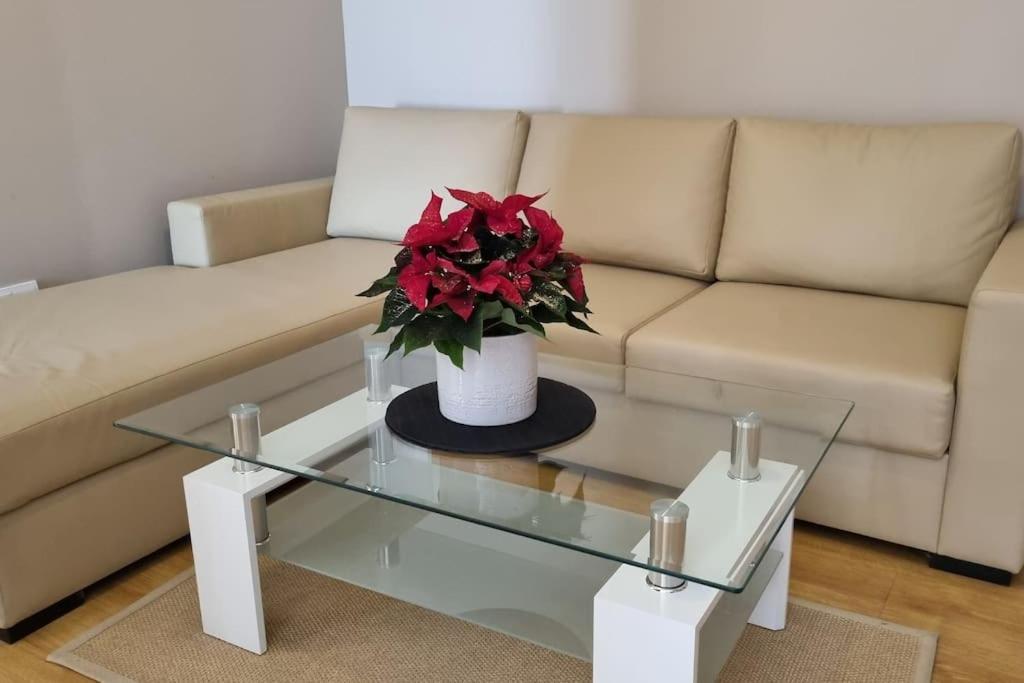 Bh & Semiramida Ski Apartment Боровец Экстерьер фото